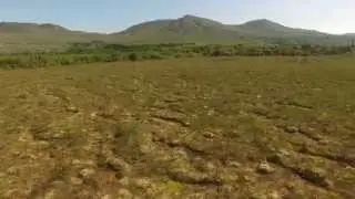Irish Blanket Bog Landscape June 2015