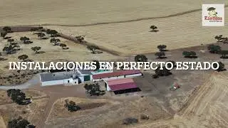 Finca en Badajoz 400 ha