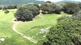 Corsica-Filitosa-4