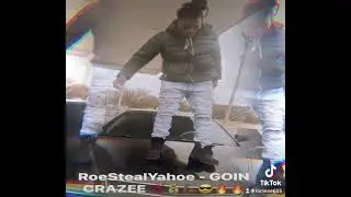 RoeStealYaHoe - GOIN CRAZEE (produced x Wzrd Mac)