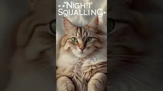 Night Squalling Cats primarily squall at night becau #smellycat #moderncat #pallascat #catwatch