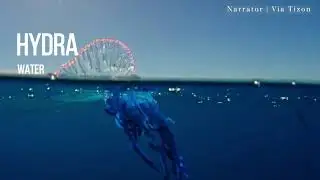 PHYLUM COELENTERATA