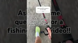 Ask me some Q&A questions! #shorts #fishing #qanda