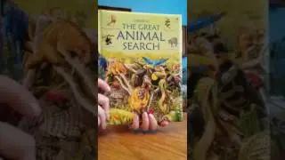 Animals Books from Usborne