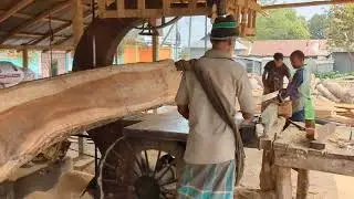 Dangerous Wood Cutting Solution|| The Risky Wood Cutting Method