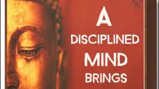 A disciplined mind || Buddha's daily wisdom 