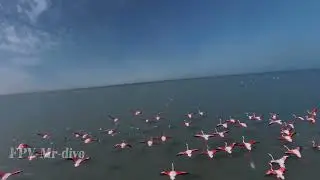 16 يناير، 2026
