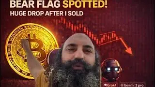 STORT BITCOIN-FALD EFTER JEG SOLGTE &mdash; S&Aring;DAN SPOTTER DU BEAR FLAGS 🚨📉