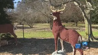 Inside Norfolk Botanical Garden's LEGO exhibit