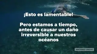 Mares Limpios, PNUMA