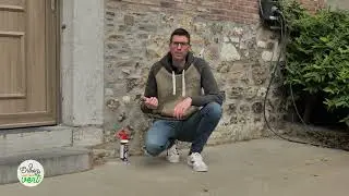 Bons plans pour le mois de juin... avec François (DCM)