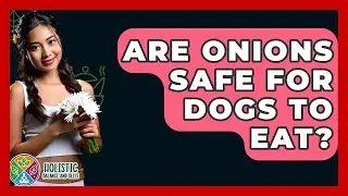 Are Onions Safe For Dogs To Eat? - Holistic Balance And Bliss