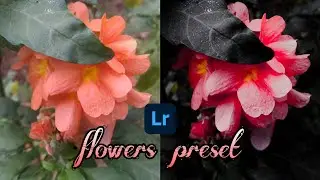 FLOWERS PRESET - Lightroom Mobile Preset | Lightroom Preset | Lightroom Tutorial