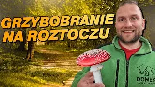 Kurki, zajączki, kozaki, teściowej przysmaki, czyli GRZYBOBRANIE&nbsp;NA&nbsp;ROZTOCZU