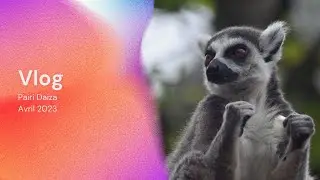 PLOPSAMANIA VLOG - PAIRI DAIZA - AVRIL 2023