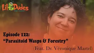 122. Parasitoid Wasps & Forestry (Dr. Véronique Martel)