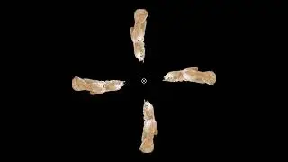 Stone statue of king (inv) #archeology #3d #heritage #hologram #king