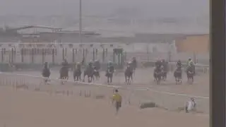ميدان الفروسية بالأحساء لعام ١٤٤٢ه حفل (15)شوط الثامن المركز الأول (جزاع الوعر)