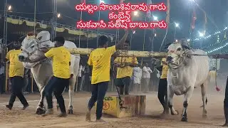 💥నరసరావుపేట గ్రామం💥 న్యూ క్యాటగిరి విభాగం💥 16వ జత 💥
💥