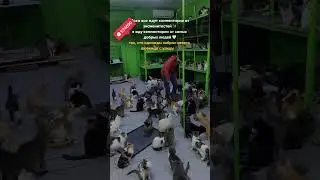 2 февраля 2026 г.