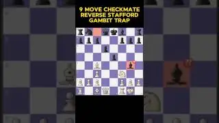 chess puzle. game, teaser, genius, short video catur