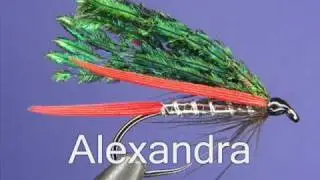 Fly tying - Alexandra (classic Scottish wet fly)