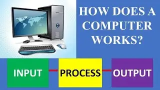 Computer Basics