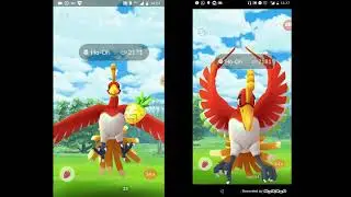 Ho-Oh duo Extrasensory/Solar Beam (Partly cloudy)