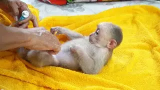 Putting some protect cream for the Icy monkey before taking the diaper and cloth on.