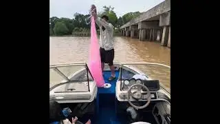 5/13/2024 Lake wateree sc striper back to back action