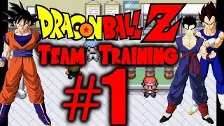 Dragonball Z Team Training #1