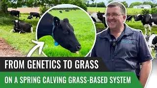 From Genetics to Grass on a Spring Calving Grass-Based System
