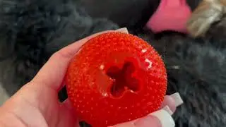 Up Close Look at Starmark Everlasting Treat Bento Ball