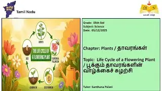 (05th Science TN) Life Cycle of a Flowering Plant / Life Cycle of a Flowering Plant
