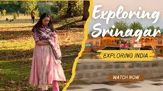 Exploring Srinagar: Gardens, Street Food and Warmth of Kashmir #explore #kashmir #srinagar #viral
