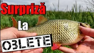 Pescuit la pluta (surpriză la oblete)