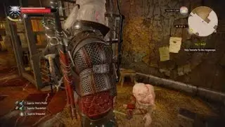 The Witcher 3: Uma's Infinite Wisdom