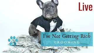 I'm Not Getting Rich Grooming