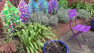 Community Companions Scheme Launches At Salisbury Hospice