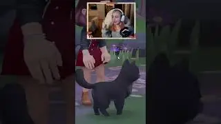 Can you pet the cat in Wylde Flowers? #shorts