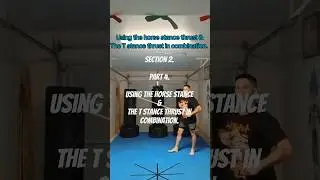 Section 2. The cross step low high sequence. Part 4 #series #karate #tangsoodo #bostaff #martialarts