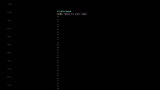 How To Print Your Name In Bash 😛 #codewithpatrick #alx #bashtutorial