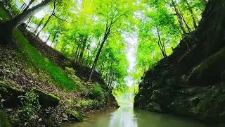 Penns Cave