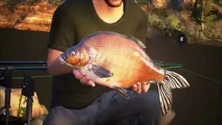 Dovetail Games Euro Fishing - Xbox one Gameplay