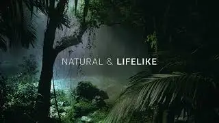 Dolby Atmos - Nature Demo