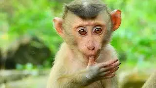 Poor orphan baby abandoned very hungry till eating finger confused milk