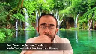 Parachat Vayakel Pékoudé: À deux chabbat de la délivrance!