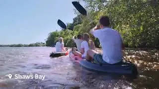 Visit a wildlife sanctuary, kayak to birdsong and go fishing with an expert on the Ballina Coast.