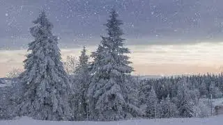 when the snow fall, everything rests🌨️ | piano playlist