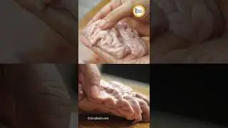 Mutton Brain Cleaning Method by Food Fusion